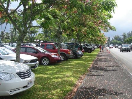 Hilo parking for Outrigger race